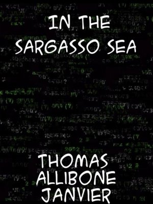 cover image of In the Sargasso Sea a Novel